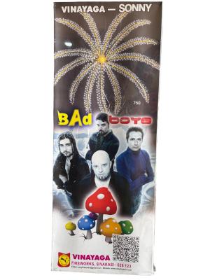 BAD BOYS - SONNY